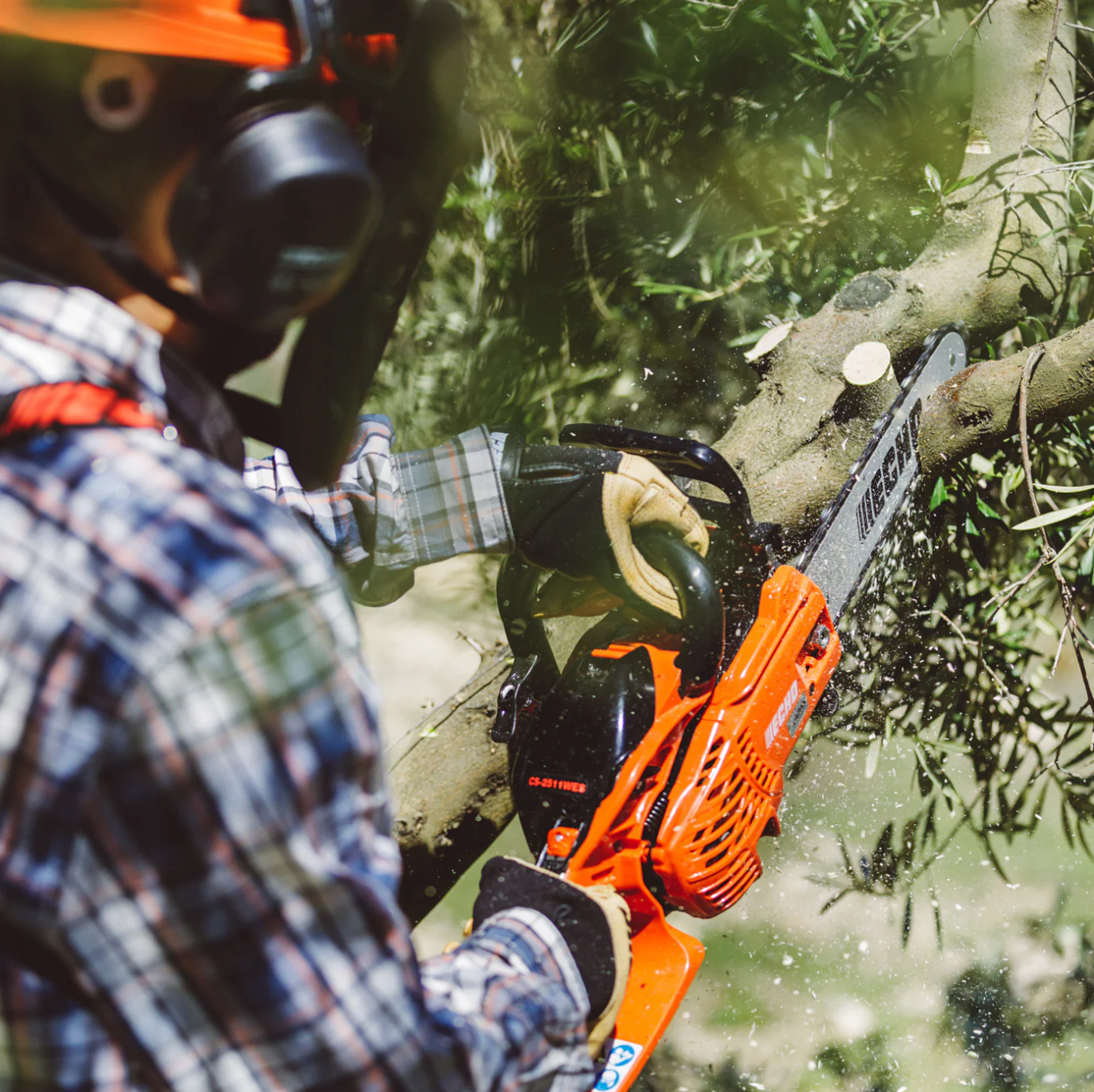 Chainsaws