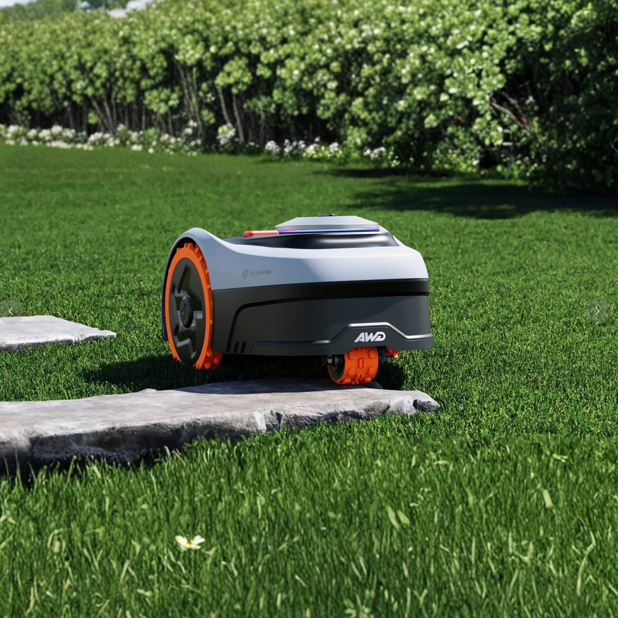 Robotic Lawnmowers