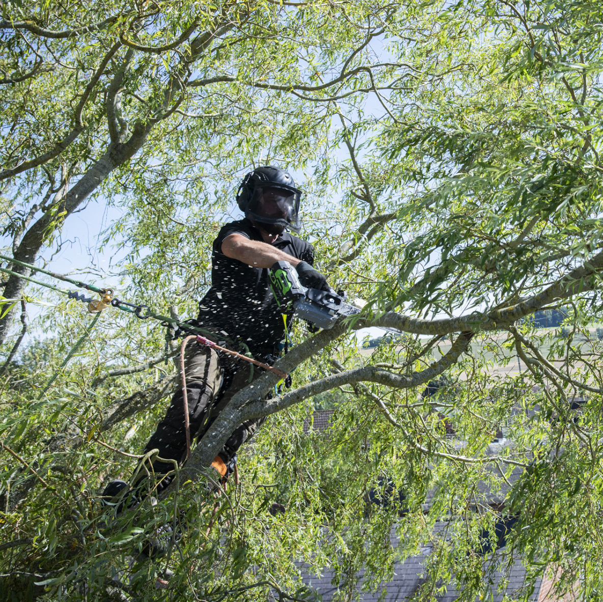 EGO CS1200E 30cm Top-Handle Chainsaw