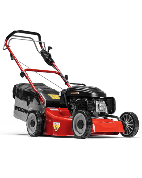 Weibang Virtue Homeline 50SP